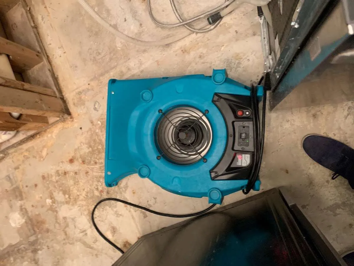 Air mover drying equipment for Mold Remediation & Removal in Southeast Arcadia